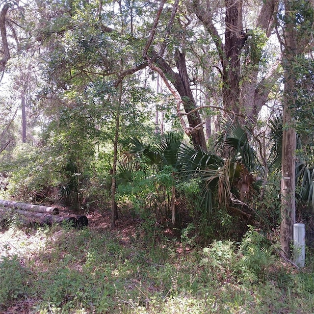 2319 W Wildflower Ct, Dunnellon, FL 34434