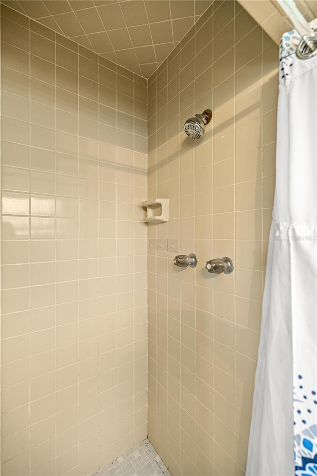 705 Washington Ave, Eustis, FL 32726 - bathroom with a tile shower