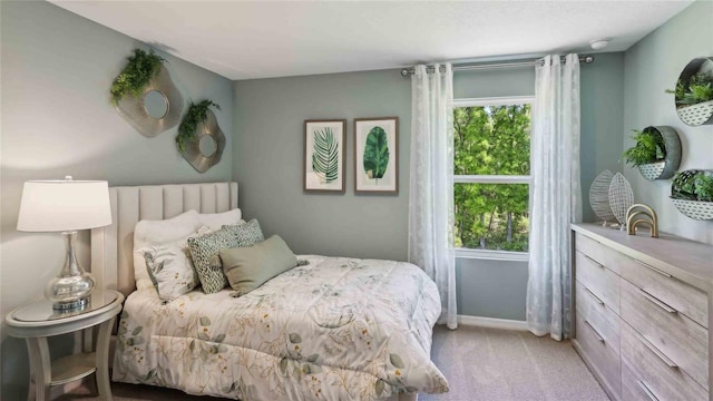 4937 SW 51st Rd, Gainesville, FL 32608 - bedroom with light colored carpet and baseboards