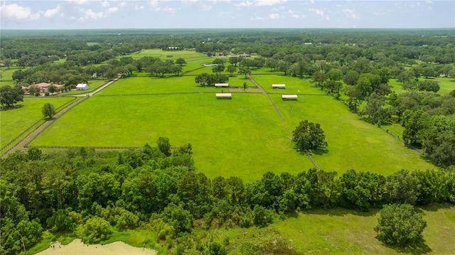 4209 NW 110th Ave, Ocala, FL 34482