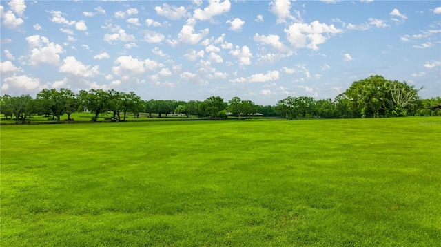 4209 NW 110th Ave, Ocala, FL 34482