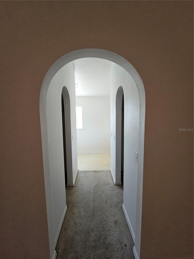 18 Fir Trail Dr, Ocala, FL 34472 - corridor featuring carpet flooring, arched walkways, and baseboards