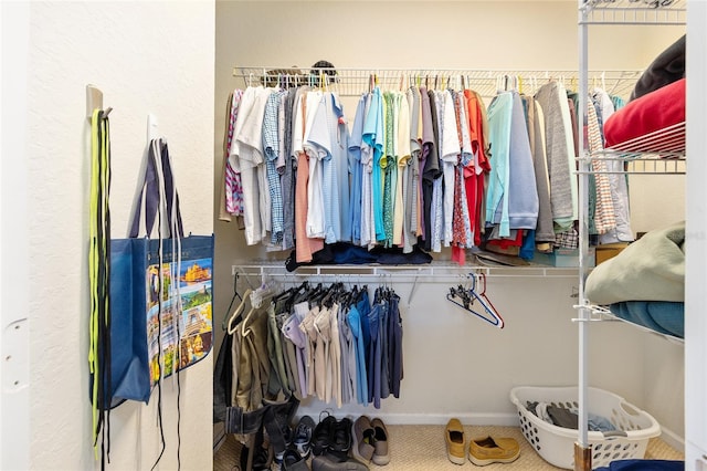 7333 SW 98th Ct, Ocala, FL 34481 - view of walk in closet
