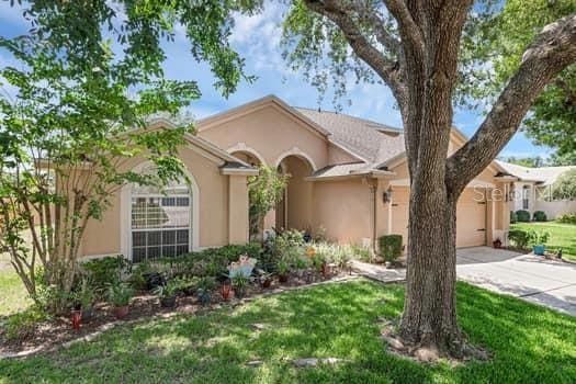 2434 Walnut Heights Rd, Apopka, FL 32703 - view of front of house featuring concrete driveway, stucco siding, an attached garage, and a front yard