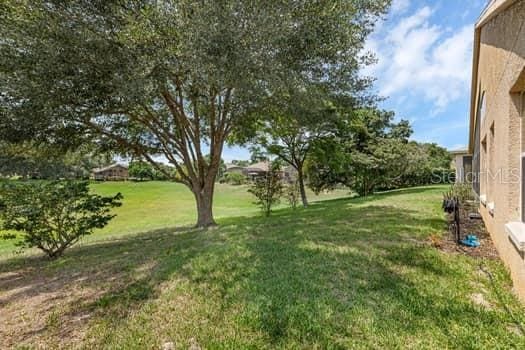 2434 Walnut Heights Rd, Apopka, FL 32703 - view of green lawn