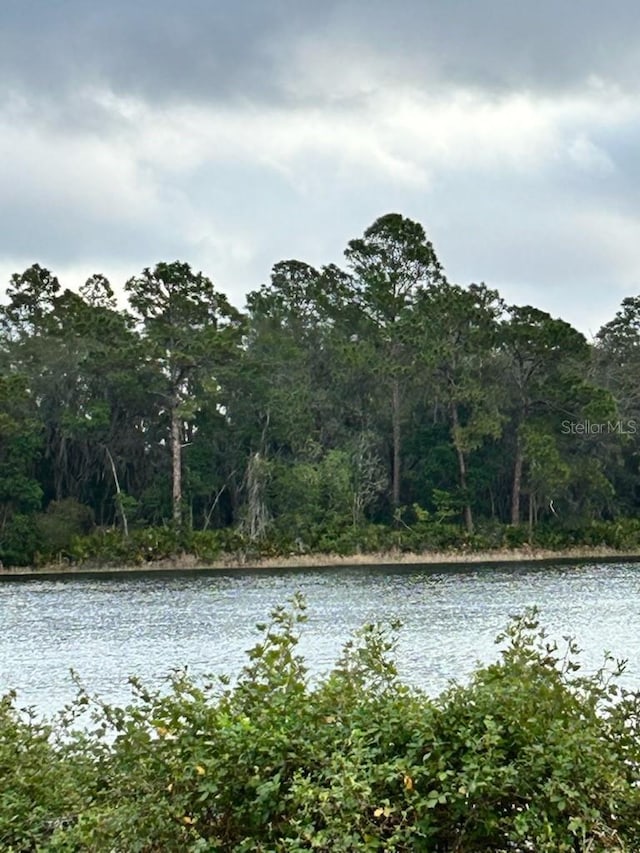 TBDLOT49 Malauka Radl, Ocklawaha, FL 32179