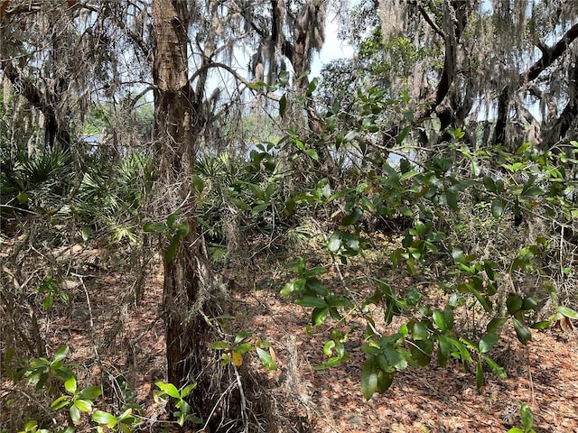 TBDLOT49 Malauka Radl, Ocklawaha, FL 32179