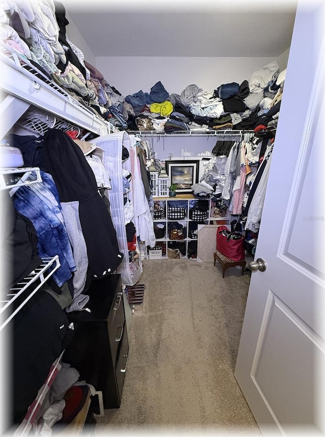 96 Hickory Crse, Ocala, FL 34472 - walk in closet featuring carpet