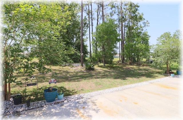 96 Hickory Crse, Ocala, FL 34472 - view of green lawn