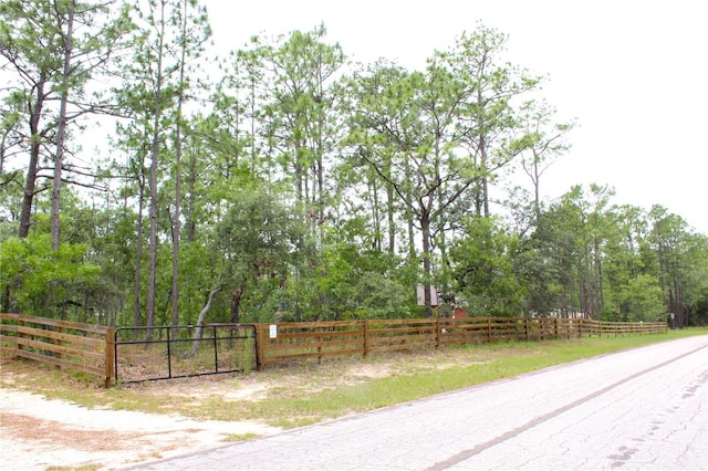5306 W Comstock Pl, Beverly Hills, FL 34465 - view of asphalt road