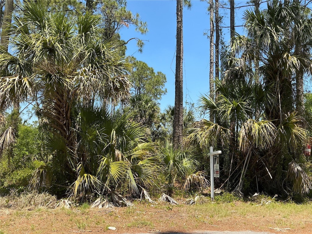 Lutz Rd, North Port, FL 34286