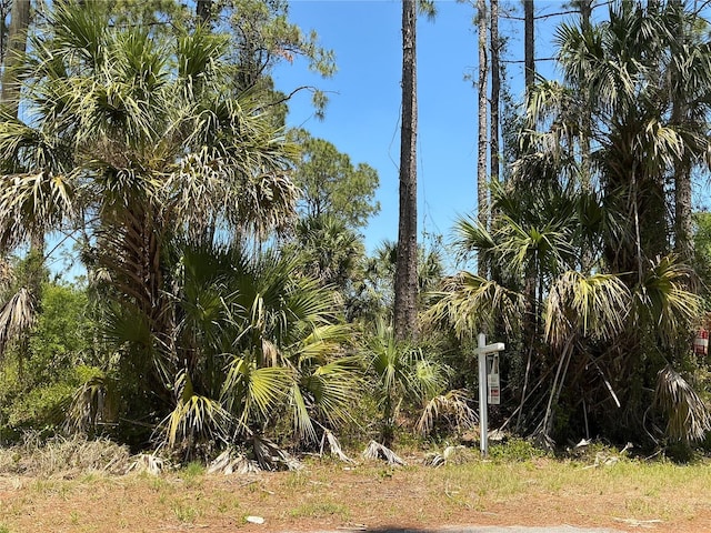 Lutz Rd, North Port, FL 34286