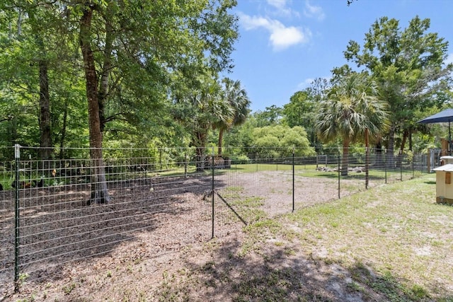 14131 SE 86th Ter, Inglis, FL 34449 - view of yard