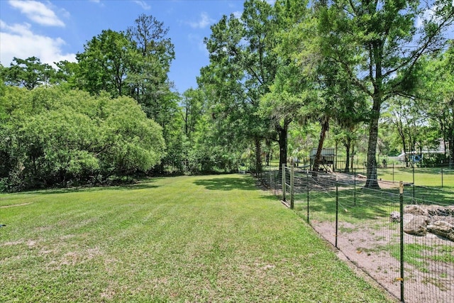 14131 SE 86th Ter, Inglis, FL 34449 - view of yard