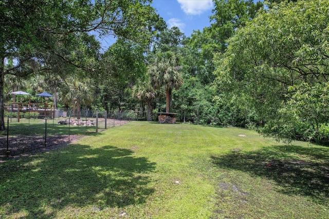 14131 SE 86th Ter, Inglis, FL 34449 - view of yard