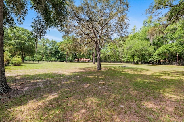 12495 SW 66th St, Ocala, FL 34481 - view of yard