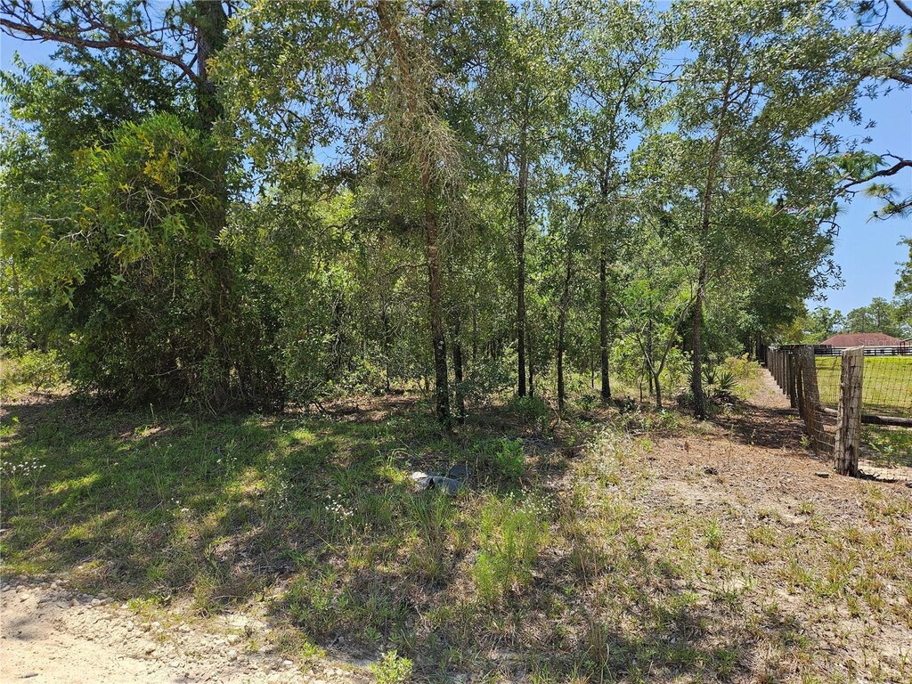 TBD SE 25th St, Morriston, FL 32668 - photo 1