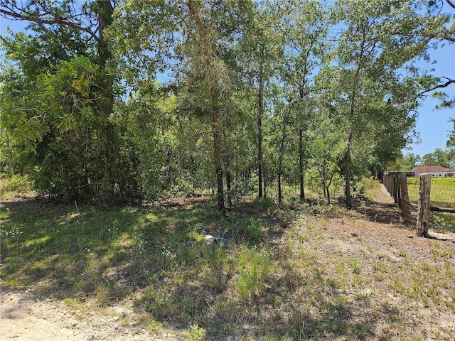 TBD SE 25th St, Morriston, FL 32668