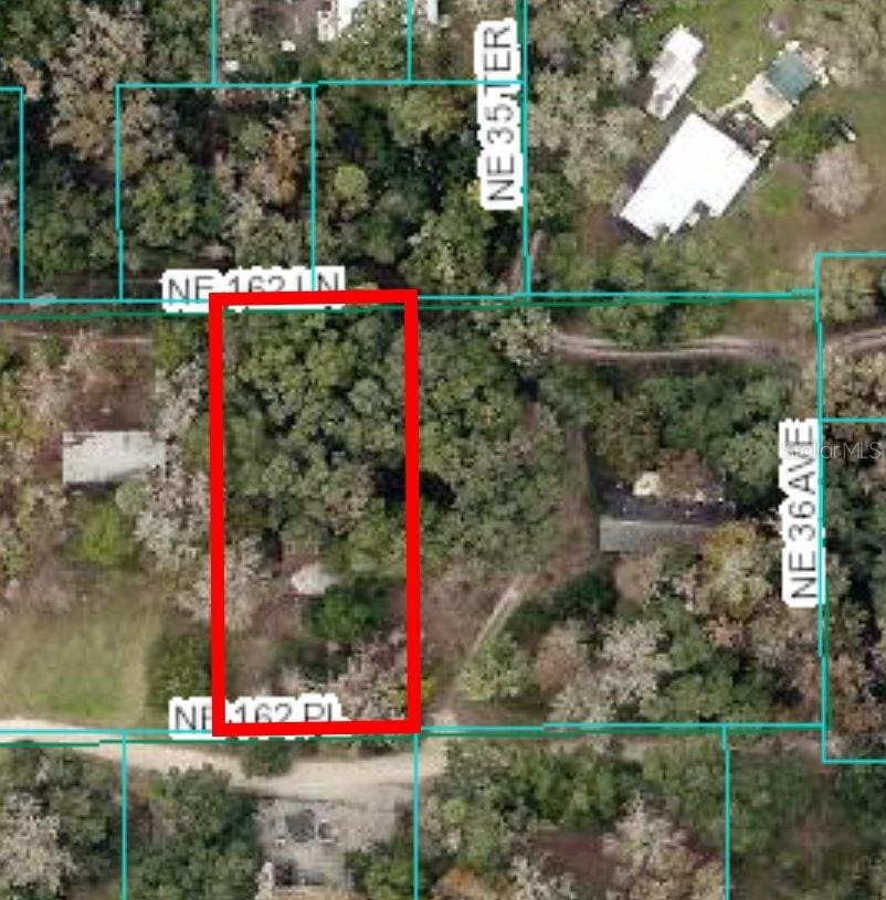 3597 NE 162nd Pl, Citra, FL 32113
