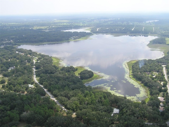 960 NW Redwood Dr, Dunnellon, FL 34431 - aerial view of property and surrounding area with a large body of water and a forest