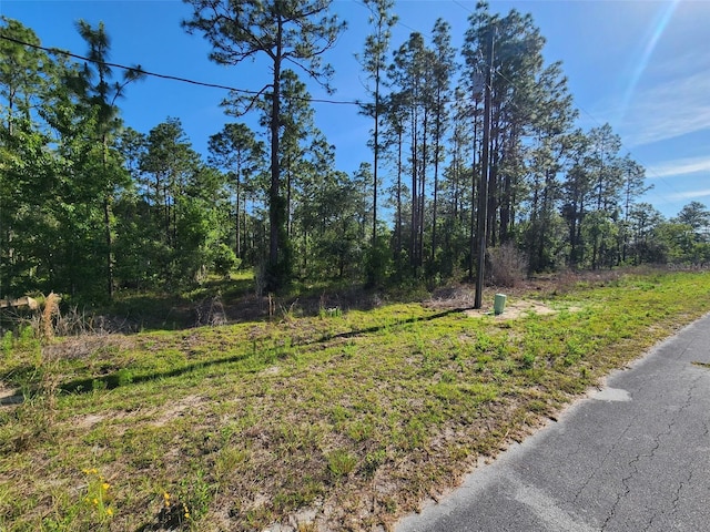 NW Shamrock Ave, Dunnellon, FL 34431