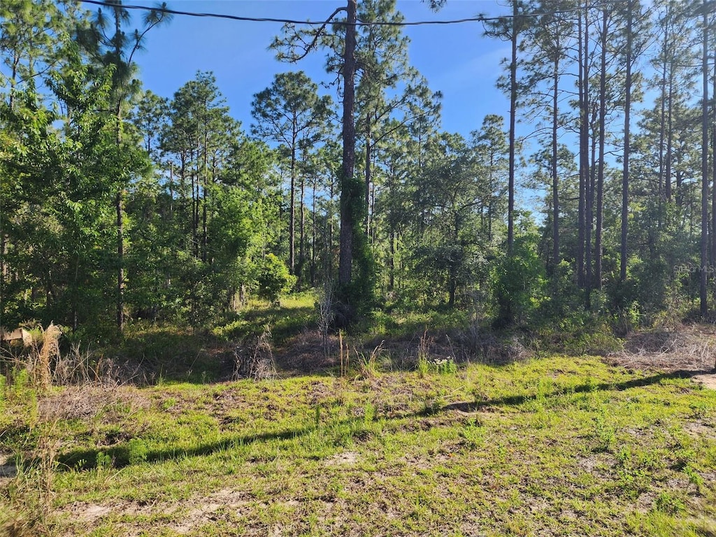 NW Shamrock Ave, Dunnellon, FL 34431