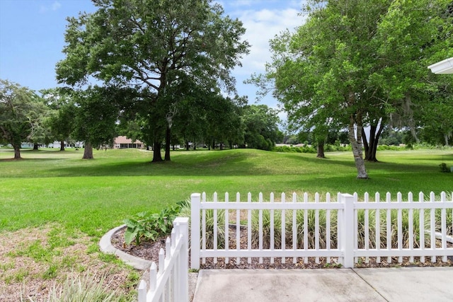 14481 SW 112th Cir, Dunnellon, FL 34432 - view of yard