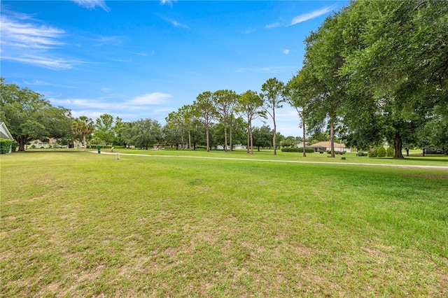 99 E Dakota Ct, Hernando, FL 34442 - photo 28