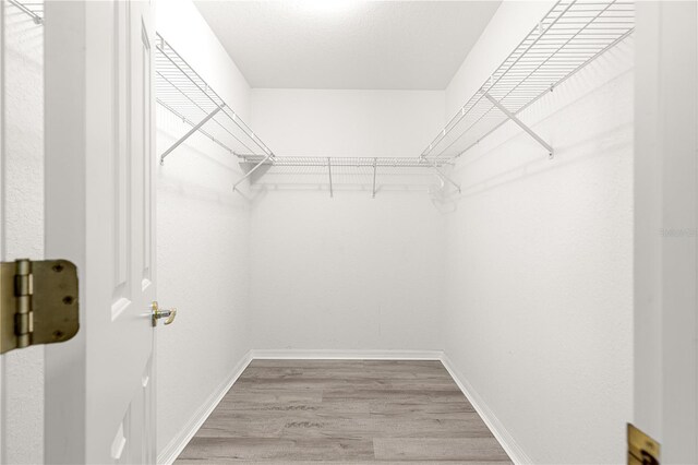 9891 SE 138th Loop, Summerfield, FL 34491 - spacious closet featuring light wood finished floors