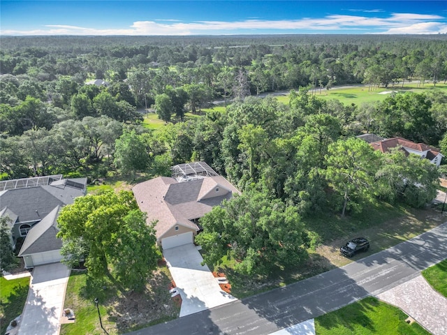 16 Ryewood Cir, Homosassa, FL 34446 - drone / aerial view of a forest