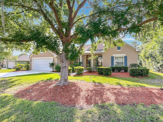 16 Ryewood Cir, Homosassa, FL 34446 - view of property hidden behind natural elements with stucco siding, driveway, and a front yard