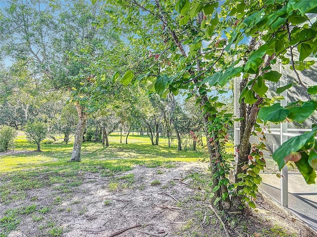 16 Ryewood Cir, Homosassa, FL 34446 - view of green lawn