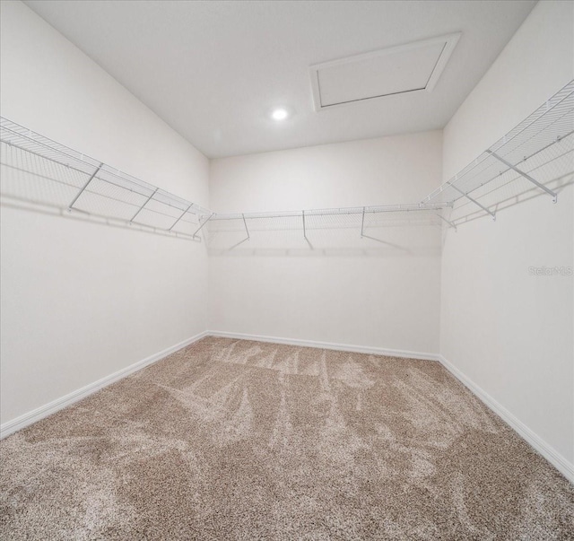 8110 SW 59th Ter, Ocala, FL 34476 - photo 28