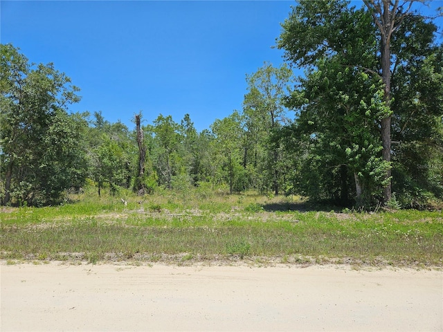 TBD SE 26th St, Morriston, FL 32668