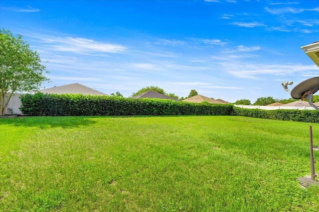 4225 SW 57th Ave, Ocala, FL 34474 - view of yard