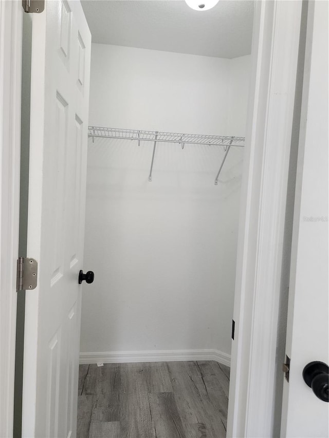541 56th Ct, Ocala, FL 34482 - walk in closet with wood finished floors