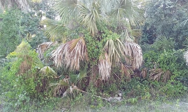 Blueberry Rd, North Port, FL 34288 - photo 1