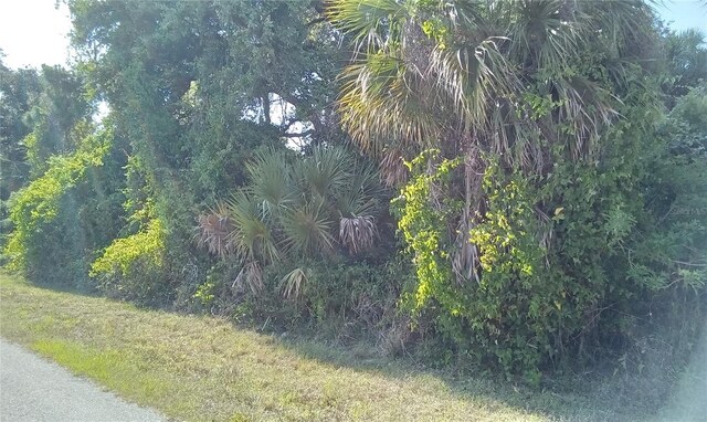 Blueberry Rd, North Port, FL 34288 - photo 4