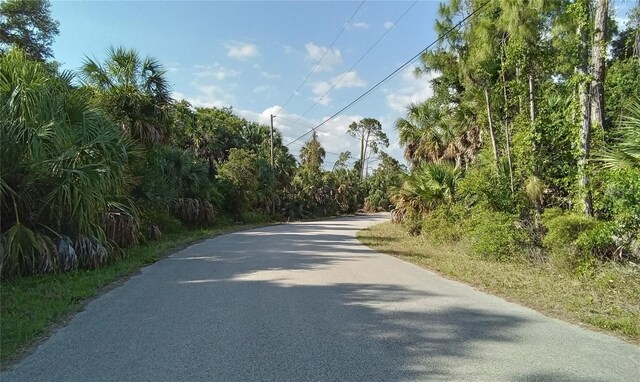 Blueberry Rd, North Port, FL 34288 - photo 6