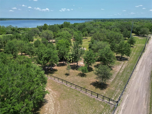 TBD SE 55th Pl, Ocklawaha, FL 32179 - photo 7
