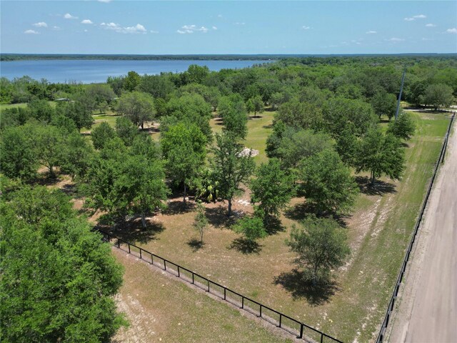 TBD SE 55th Pl, Ocklawaha, FL 32179 - photo 8