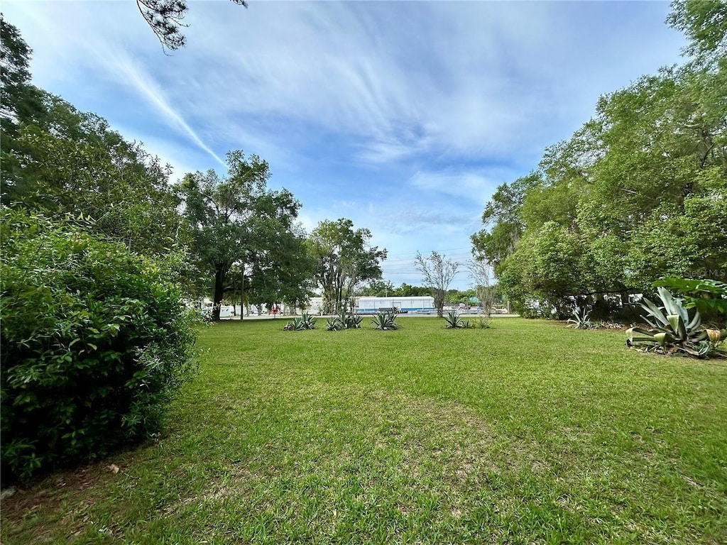 2409 NW 7th St, Ocala, FL 34475 - view of green lawn