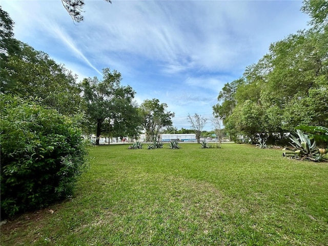 2409 NW 7th St, Ocala, FL 34475 - view of green lawn