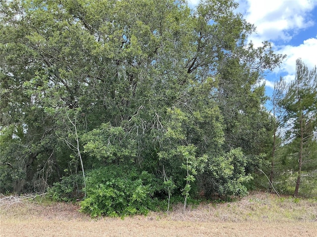 Malauka Loop, Ocklawaha, FL 32179