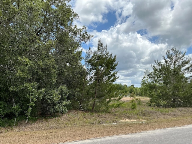Malauka Loop, Ocklawaha, FL 32179