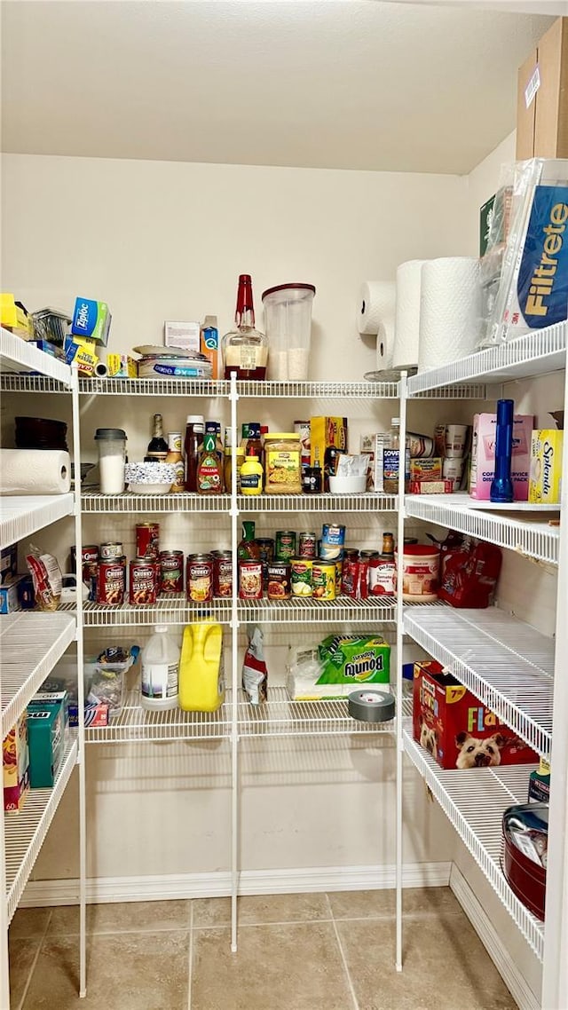 1138 Lumsden Trace Cir, Valrico, FL 33594 - view of pantry