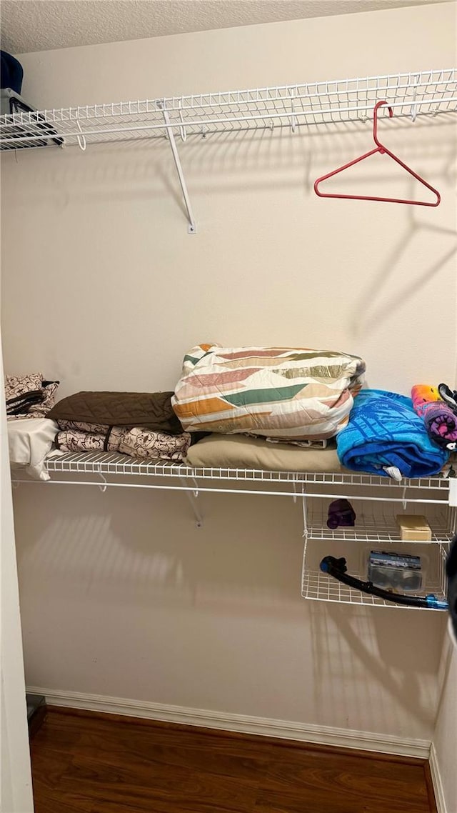 1138 Lumsden Trace Cir, Valrico, FL 33594 - walk in closet featuring wood finished floors