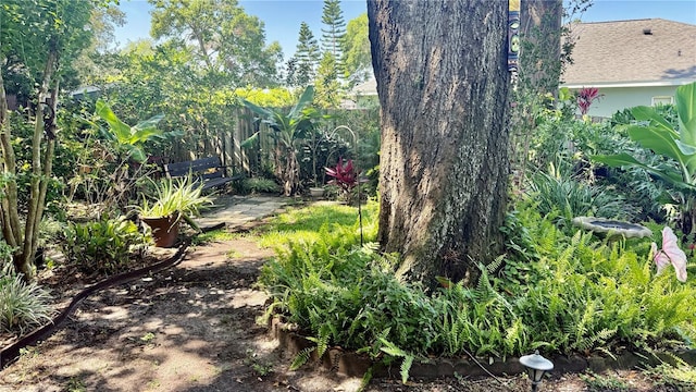 1138 Lumsden Trace Cir, Valrico, FL 33594 - view of yard
