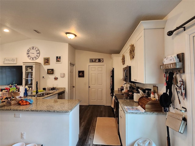 120 Fisher Ct, Ocklawaha, FL 32179 - kitchen with lofted ceiling, stainless steel appliances, a sink, white cabinets, and dark wood-style floors