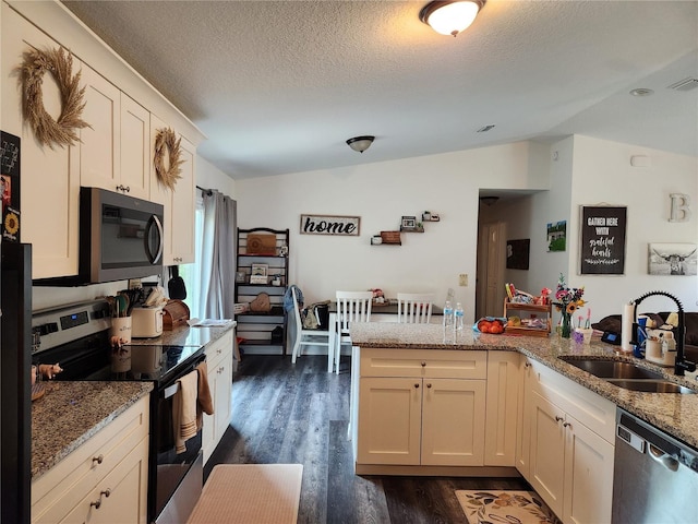 120 Fisher Ct, Ocklawaha, FL 32179 - kitchen with appliances with stainless steel finishes, vaulted ceiling, a sink, dark wood-style flooring, and a textured ceiling